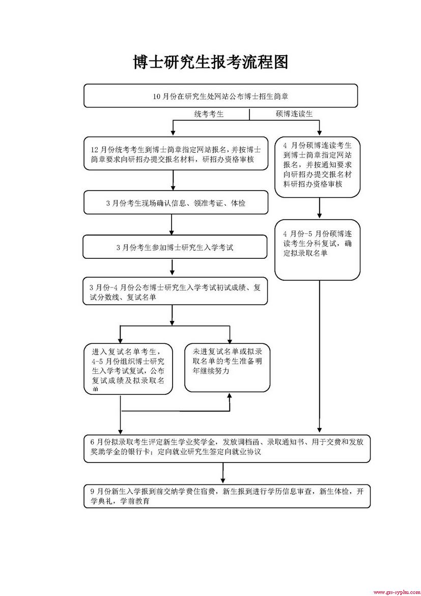 博士研究生报考流程图